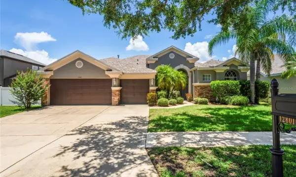 12801 Stanwyck Circle, Tampa, FL, 33626