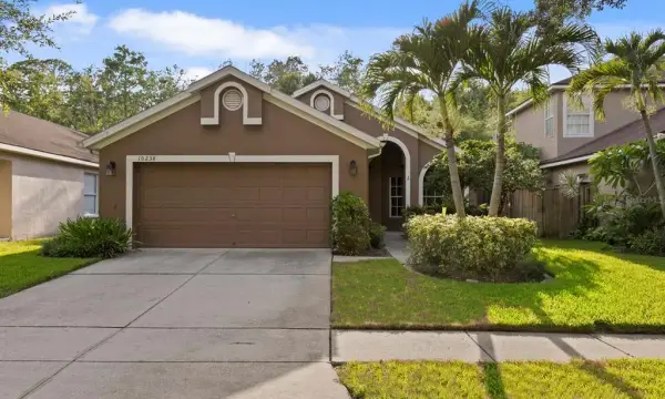 10238 Woodford Bridge Street, Tampa, FL, 33626