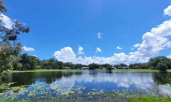 708 Warren Road, Lutz, FL, 33548