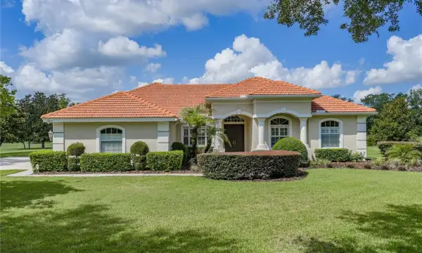 19616 Amazon Basin Bend, Lutz, FL, 33559