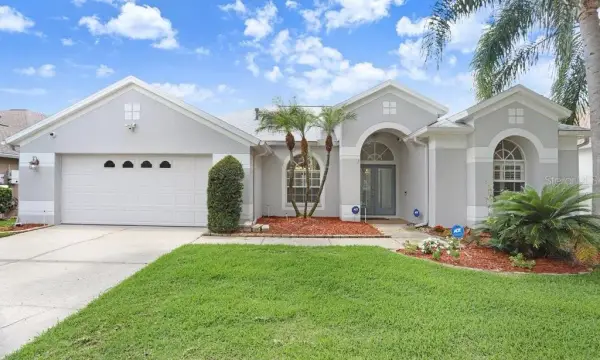 10227 Quails Landing Avenue, Tampa, FL, 33647