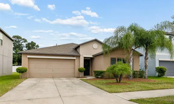 3706 Cat Mint Street, Tampa, FL, 33619