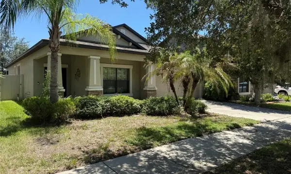 11617 Palmetto Pine Street, Riverview, FL, 33569