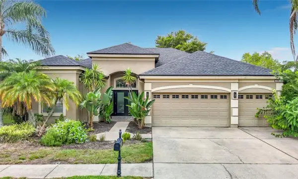 10512 Gooseberry Court, Trinity, FL, 34655