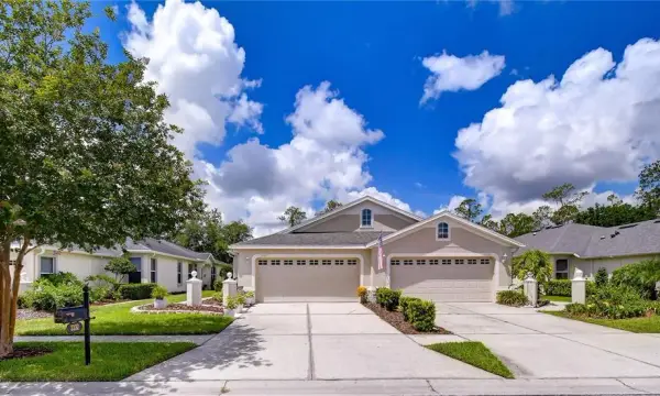 3332 Chapel Creek Circle, Wesley Chapel, FL, 33544