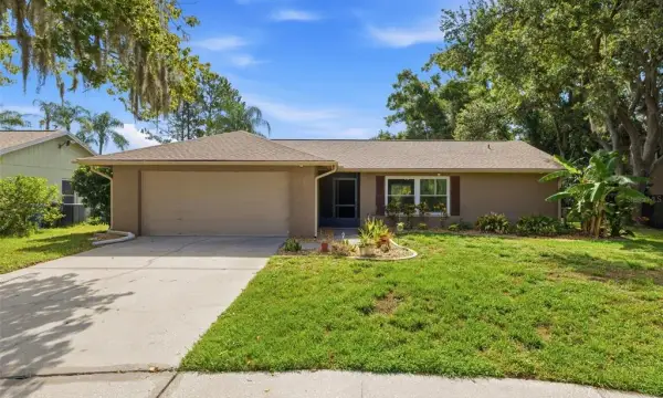 14801 Perriwinkle Place, Tampa, FL, 33625