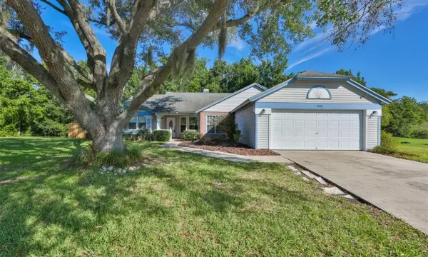 3349 Silvermoon Drive, Plant City, FL, 33566