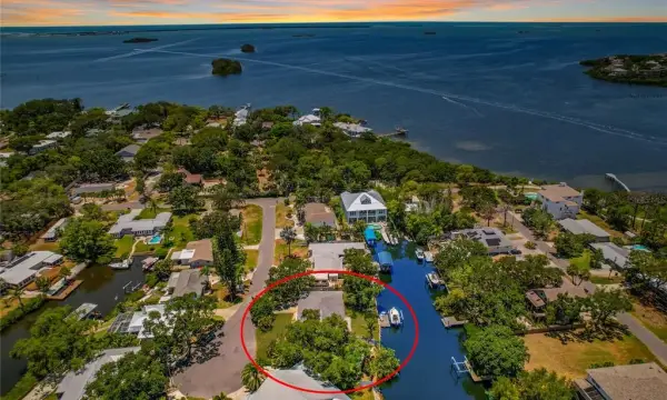 404 Laurel Lane, Palm Harbor, FL, 34683