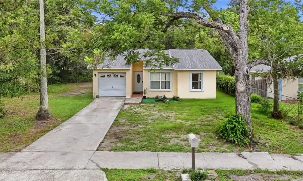 6308 N 22nd Street, Tampa, FL, 33610