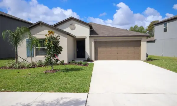 10347 Alder Green Drive, Riverview, FL, 33578