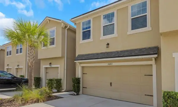 14203 Damselfly Drive, Tampa, FL, 33625