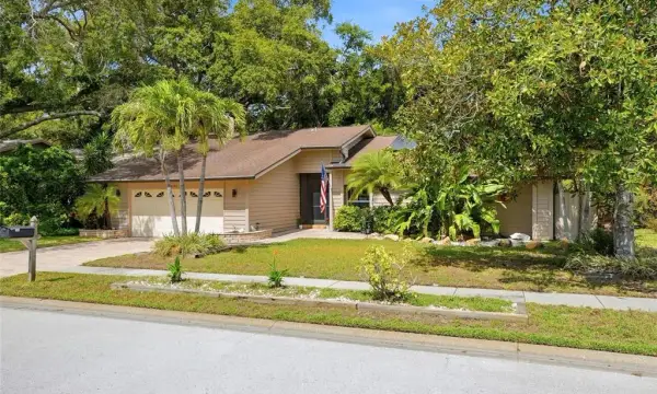 4733 Lake Valencia Boulevard W, Palm Harbor, FL, 34684