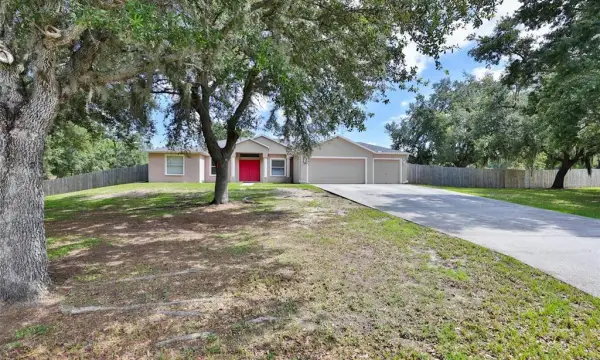 10234 Bloomfield Hills Drive, Seffner, FL, 33584