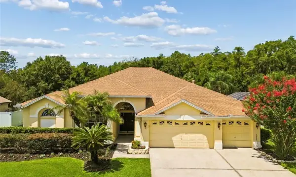 10111 Kingshyre Way, Tampa, FL, 33647