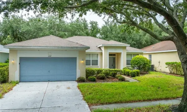 11112 Holly Cone Drive, Riverview, FL, 33569