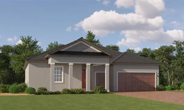 9132 Minnow Ray Drive, Land O Lakes, FL, 34638