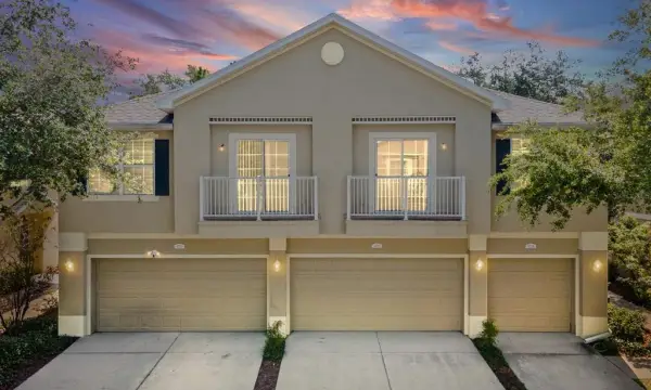 6774 Breezy Palm Drive, Riverview, FL, 33578