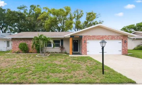 3229 Spanish Moss Lane, Palm Harbor, FL, 34684