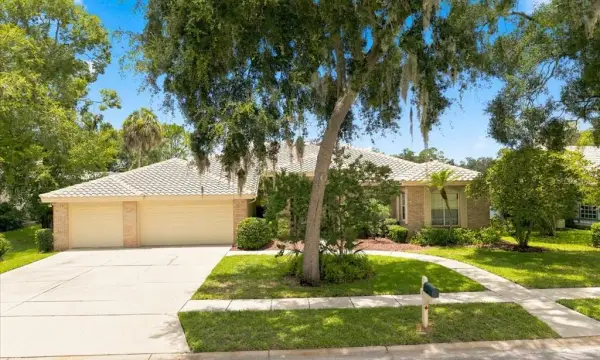 85 Kelleys Trail, Oldsmar, FL, 34677