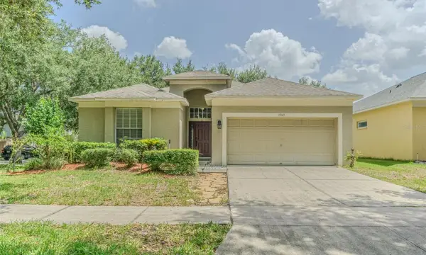 19145 Wood Sage Drive, Tampa, FL, 33647