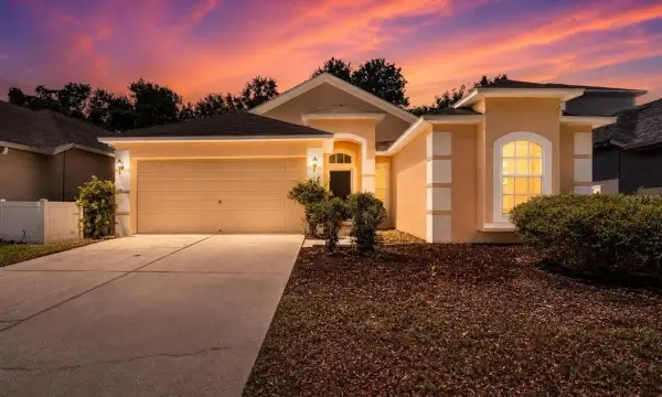 8536 Canterbury Lake Boulevard, Tampa, FL, 33619