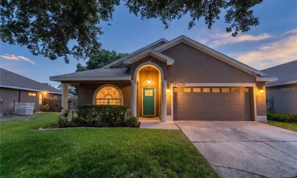 19520 Morden Blush Drive, Lutz, FL, 33558