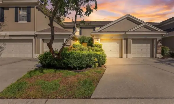 11220 Windsor Place Circle, Tampa, FL, 33626