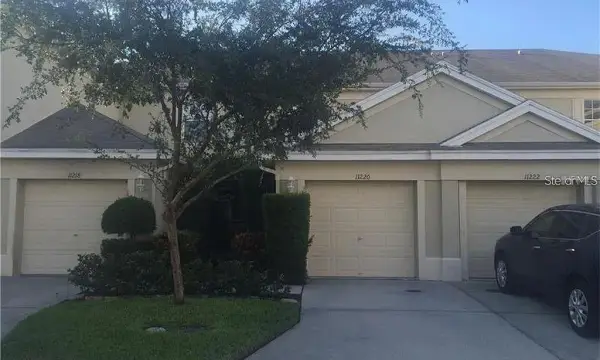 11220 Windsor Place Circle, Tampa, FL, 33626