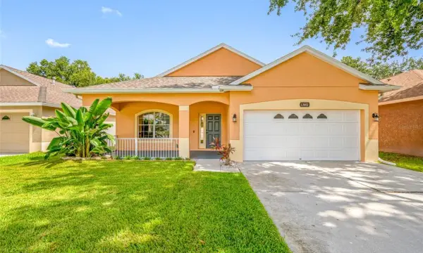 13002 Terrace Springs Drive, Tampa, FL, 33637