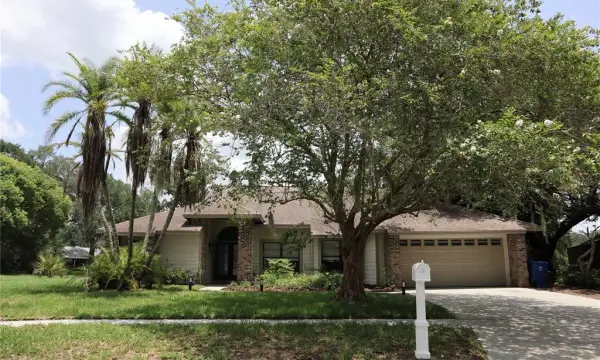 10428 Tara Drive, Riverview, FL, 33578