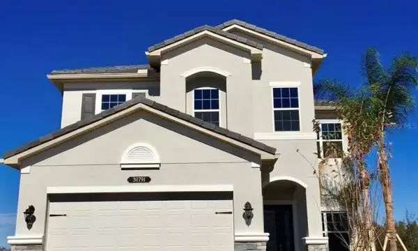 30791 Lindentree Drive, Wesley Chapel, FL, 33543