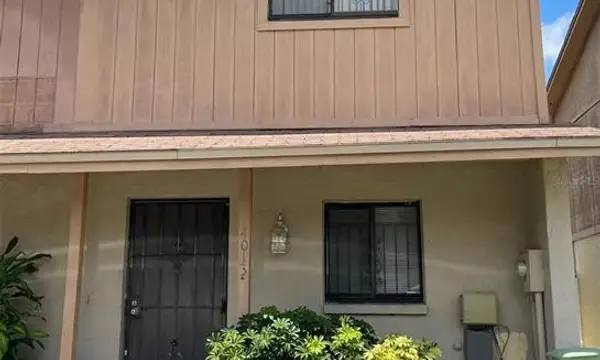 4013 Cedarlimb Court, Tampa, FL, 33614