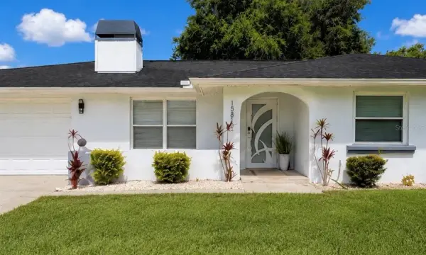 15810 Sea Oats Place, Tampa, FL, 33624