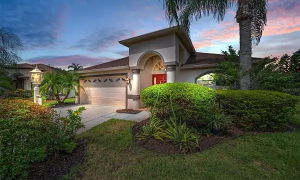 12021 Fern Terrace Court, Trinity, FL, 34655