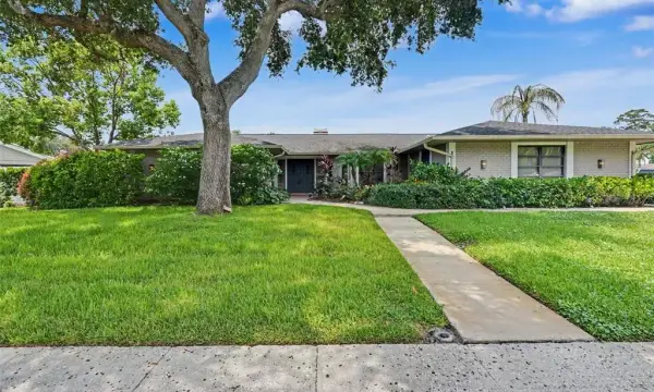 475 Holly Hill Road, Oldsmar, FL, 34677