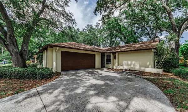 260 Arbor Glen Drive, Palm Harbor, FL, 34683