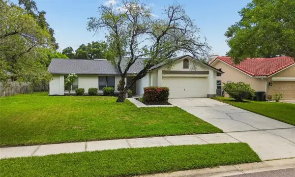 525 Walker Road, Safety Harbor, FL, 34695