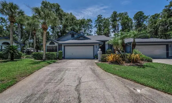 80 Summerwinds Lane, Oldsmar, FL, 34677