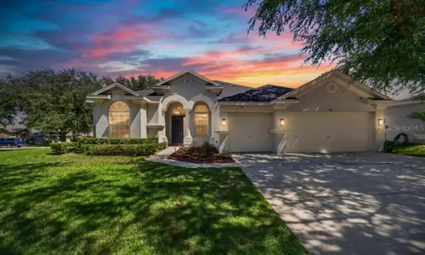 1314 Rowantree Drive, Dover, FL, 33527