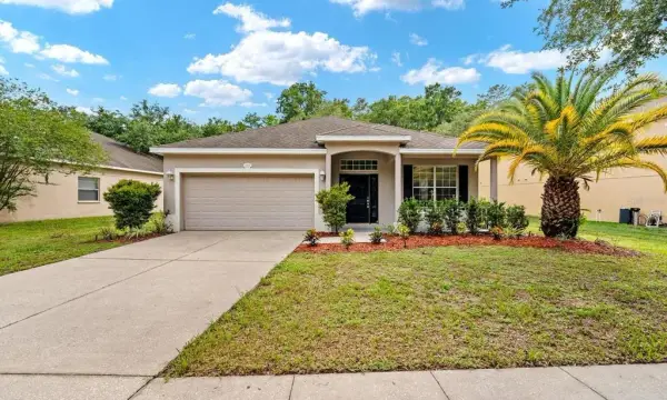 11920 Palm Bay Ct. Court, New Port Richey, FL, 34654