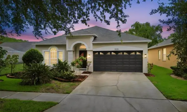 19029 Chemille Drive, Lutz, FL, 33558