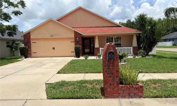12337 Rose Haven Boulevard, New Port Richey, FL, 34654