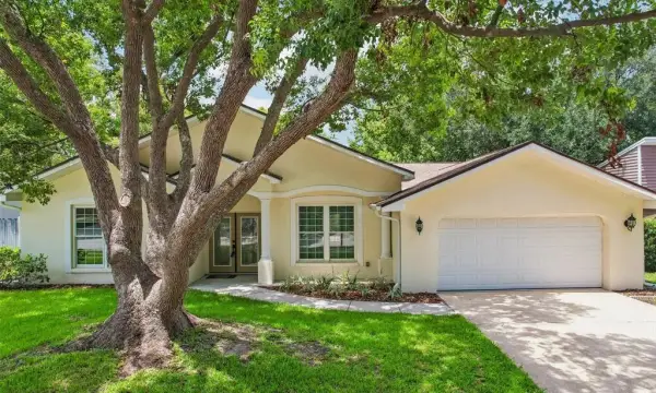 818 Village Way, Palm Harbor, FL, 34683