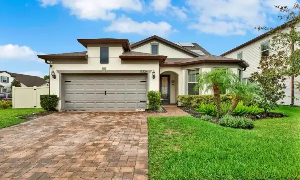 19234 Mossy Pine Drive, Tampa, FL, 33647