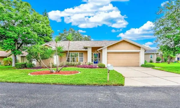 10529 Ayr Court, New Port Richey, FL, 34654