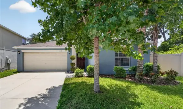 10304 Strawberry Tetra Drive, Riverview, FL, 33578