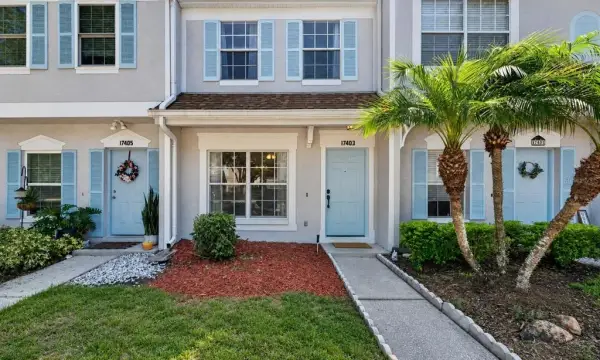 17403 Flatwoods Key Drive, Tampa, FL, 33647
