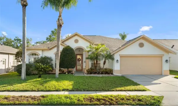 12213 Roseland Drive, New Port Richey, FL, 34654