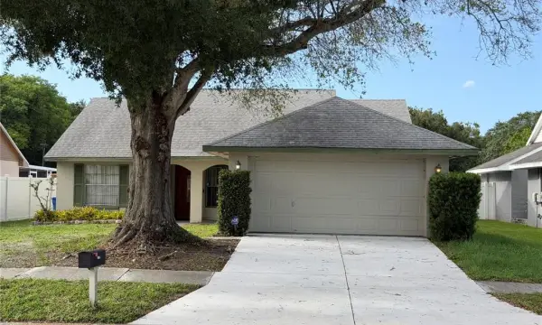 7131 Hollowell Drive, Tampa, FL, 33634