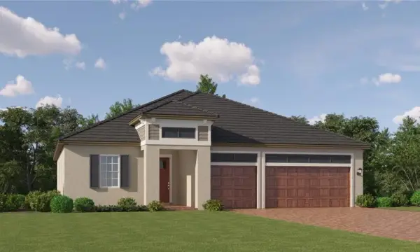 9137 Minnow Ray Drive, Land O Lakes, FL, 34638